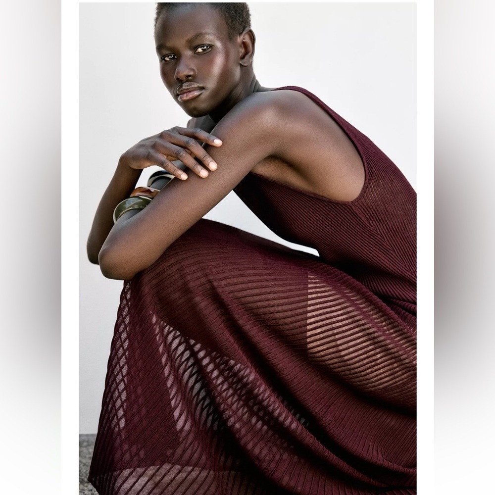 Zara Rib Knit Maxi Dress - Picture 11 of 14